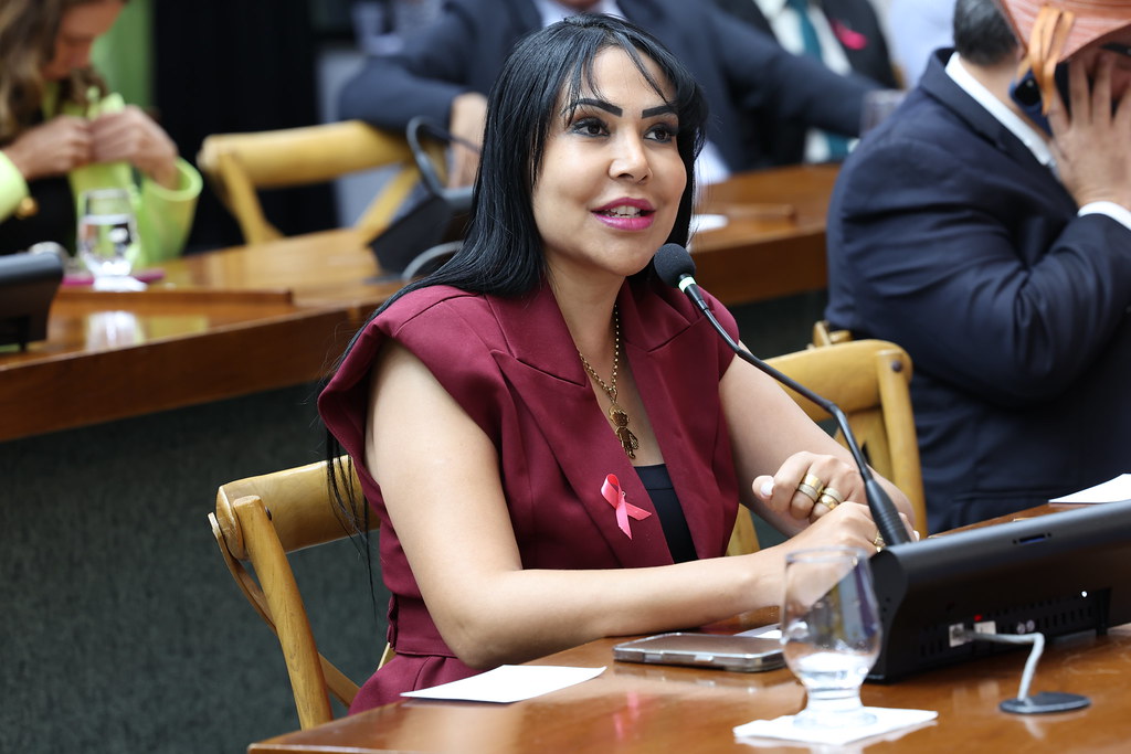 Janad Valcari solicita construção de ponte entre Monte do Carmo e Silvanópolis