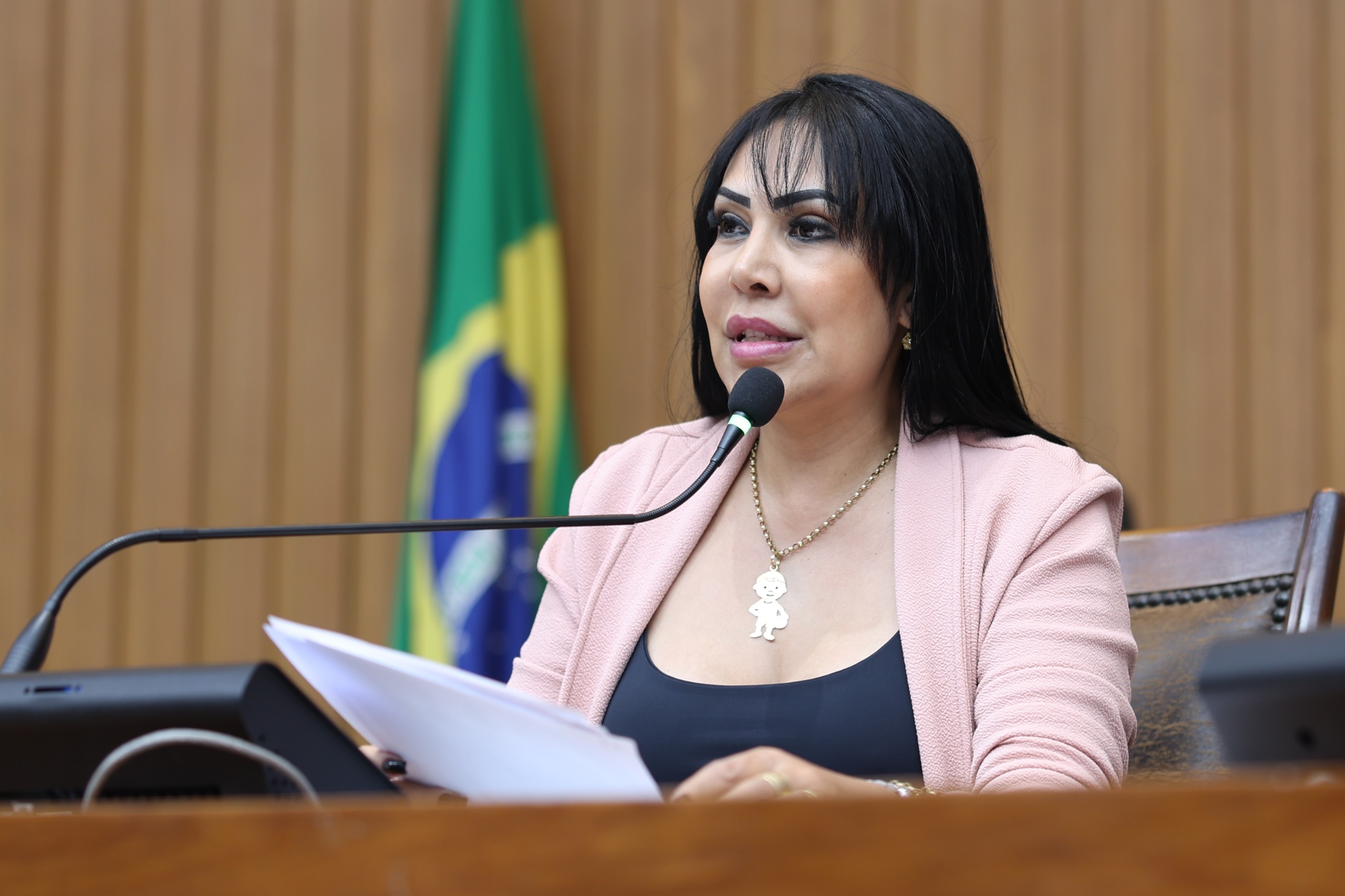 Requerimentos de Janad Valcari para obras e recuperação de rodovias estaduais são aprovados na Aleto